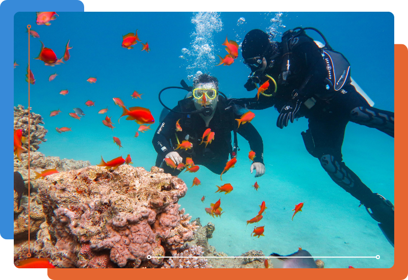 two divers next to a reef with orange fish