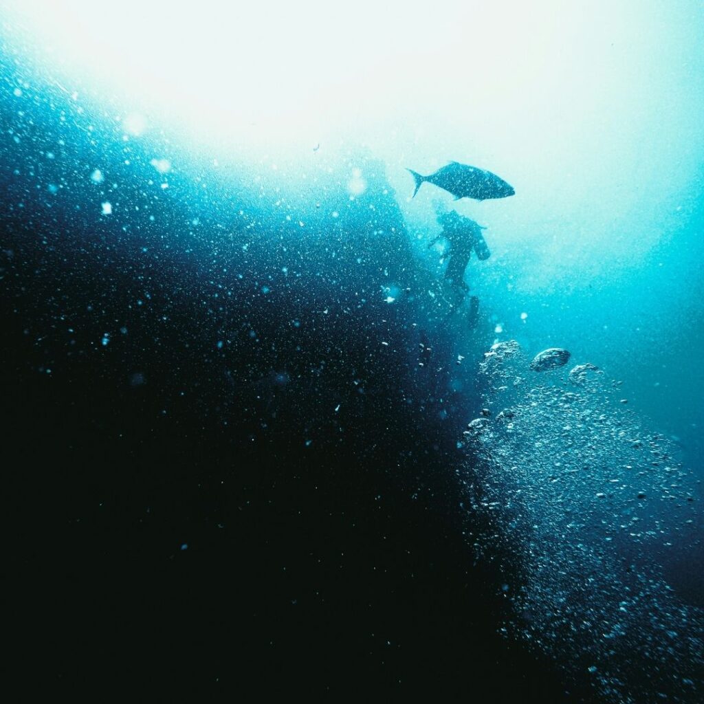 divers in cozumel, mexico